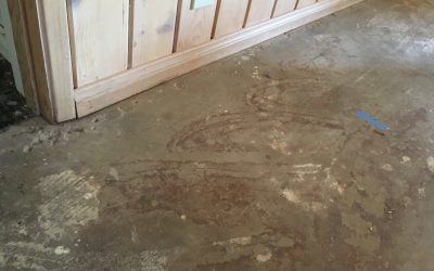 Question: Concrete Stained Floors